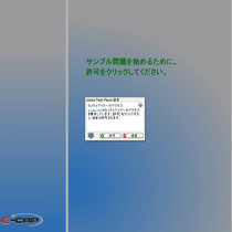 withflash